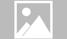 97在线视频观看